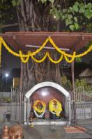 Ashlesha Bali Puja at Shree Umamaheshwar Temple Mangalore - Pratishta Vardanti Celebration (23 March.2024) Picture courtesy: Shri Ganesh Damble