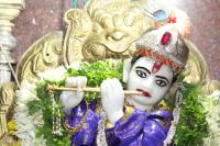 Ashtabandha Karyakram of Shri Shivagopal Krishna Temple, Sagar - Day 1