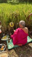 Bhumi Pujana, Navanna Bhojana at SCM Shirali (7 Oct 2025)