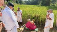 Bhumi Pujana, Navanna Bhojana at SCM Shirali (7 Oct 2025)