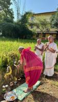 Bhumi Pujana, Navanna Bhojana at SCM Shirali (7 Oct 2025)