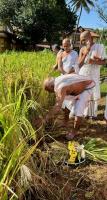 Bhumi Pujana, Navanna Bhojana at SCM Shirali (7 Oct 2025)