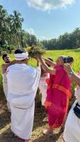 Bhumi Pujana, Navanna Bhojana at SCM Shirali (7 Oct 2025)