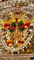 Shri Shiva Pujana by HH Swamiji; Picture courtesy Shri Jaikishan Kandlur