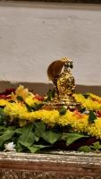Shri Shiva Pujana by HH Swamiji; Picture courtesy Shri Jaikishan Kandlur