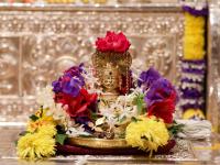 Shri Shiva Pujana by HH Swamiji; Picture Courtesy Shri Abhishek Pai