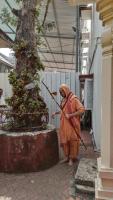 Dattatreya Moola Mantra Homa, Mangaluru