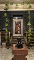Guru Prapti Divasa at Shirali (28 Jan 2023)