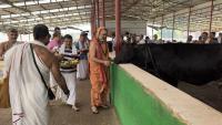 H.H. Swamiji at Vyas Ashram Camp, Haridwar (24 Feb 2023)