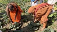 H.H. Swamiji at Vyas Ashram Camp, Haridwar (24 Feb 2023)