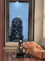 HH Swamiji's visit to Shri Bhandikeri Math Gokarn on Ratha Saptami (25 Jan 2026)