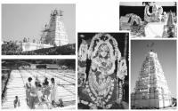 Photo Courtesy: Surendranath Bellare