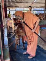 Jalabhisheka and Pujana at Karla Durga Parameshwari Temple (8 June 2024) 