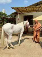 Jalabhisheka and Pujana at Karla Durga Parameshwari Temple (8 June 2024) 