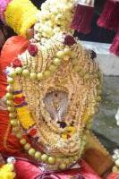 Kartik Deepotsava at Shrimath Anantheshwar Temple, Vittla (15 Nov 2024); Pictures Courtesy: Shri Ganesh Rao