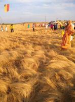 Makar Sankranti: Kite Flying at Kembre (14.1.2021)