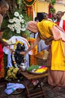 Shri Chitrapur Rathotsava 2015 at Shirali 