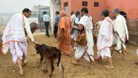 Shri Dungargarh - HH Swamiji's visit to Shri Gopal Gaushala (22 Feb 2023)