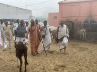 Shri Dungargarh - HH Swamiji's visit to Shri Gopal Gaushala (22 Feb 2023)