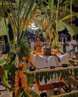 Tulasi Pujan at Shri Chitrapur Math, Shirali on 5th Nov 2022