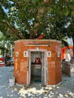 Swamiji's day visit to Bharatpur en route to Mathura (17 March 2025)