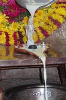 Vardhanti of Shri Venugopala Sannidhi at SCM-Mangaluru (08 Feb 2023) 