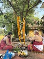 Shami Puja; Picture Courtesy Shri Jnanesh Hattangadi