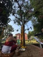 Shami Puja; Picture Courtesy Shri Jnanesh Hattangadi