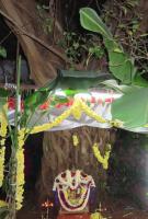 Kartik Deepotsav at Shri Umamaheshwar Temple Mangaluru